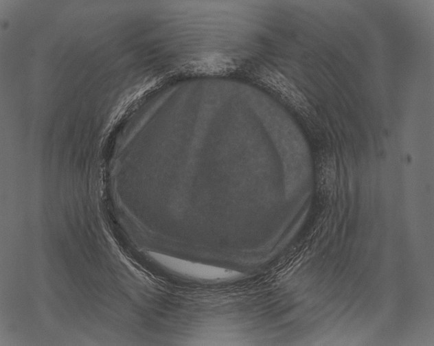 X0000067900736200605041617