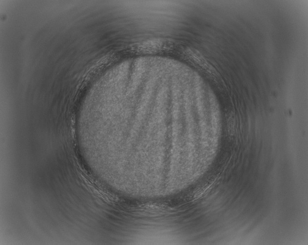 X0000067900737200605041617