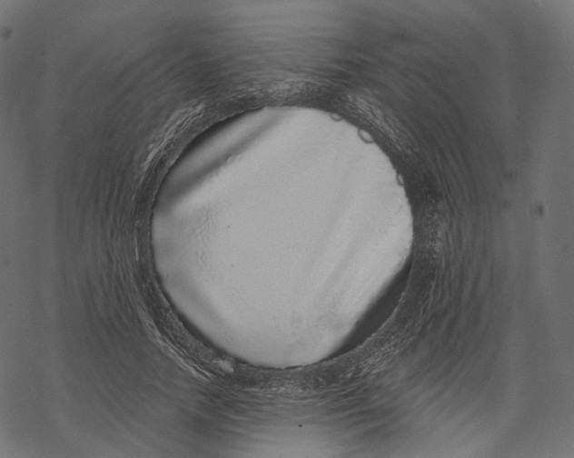 X0000067900738200605041617