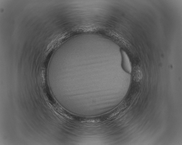 X0000067900740200605041617