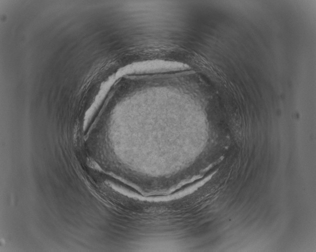 X0000067900742200605041617