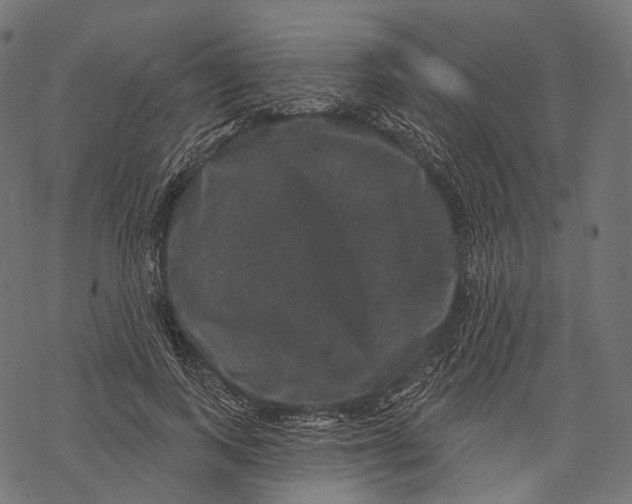 X0000067900743200605041617