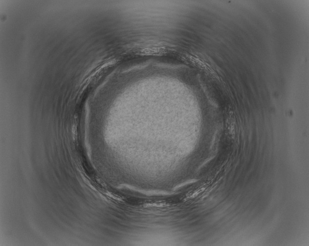 X0000067900744200605041617