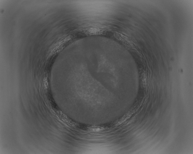 X0000067900746200605041617