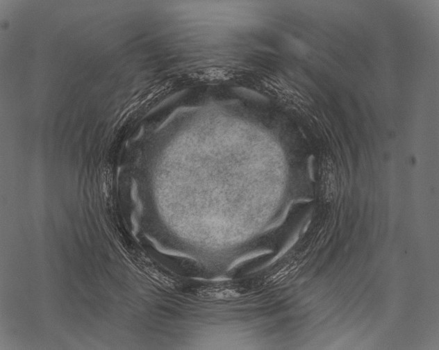 X0000067900747200605041617