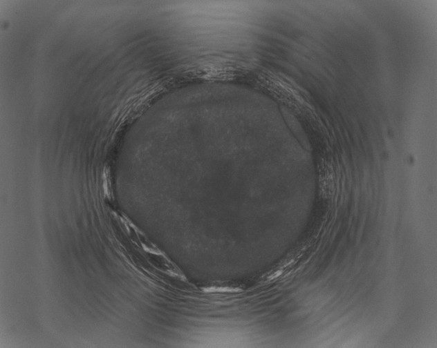 X0000067900748200605041617