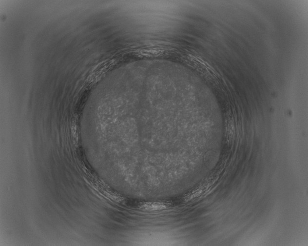 X0000067900749200605041617