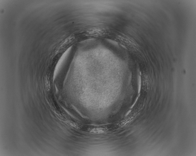 X0000067900751200605041617