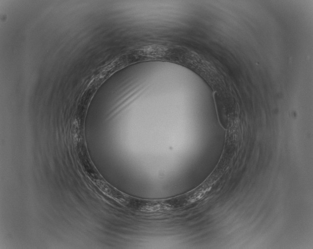 X0000067900752200605041617