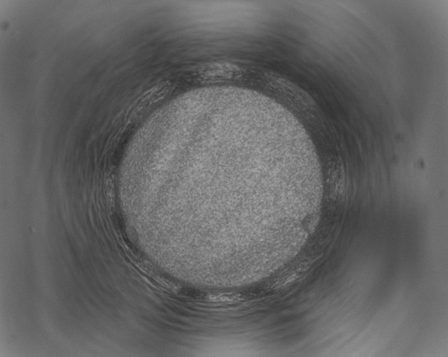 X0000067900753200605041617