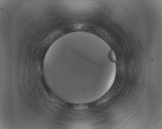 X0000067900754200605041617