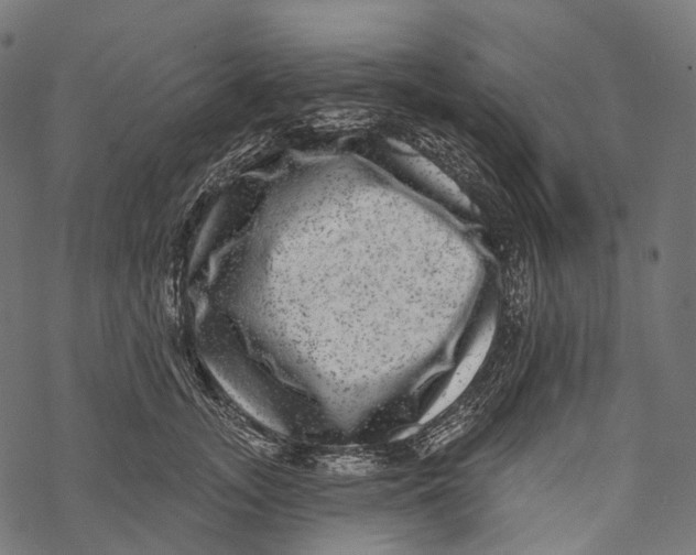 X0000067900755200605041617