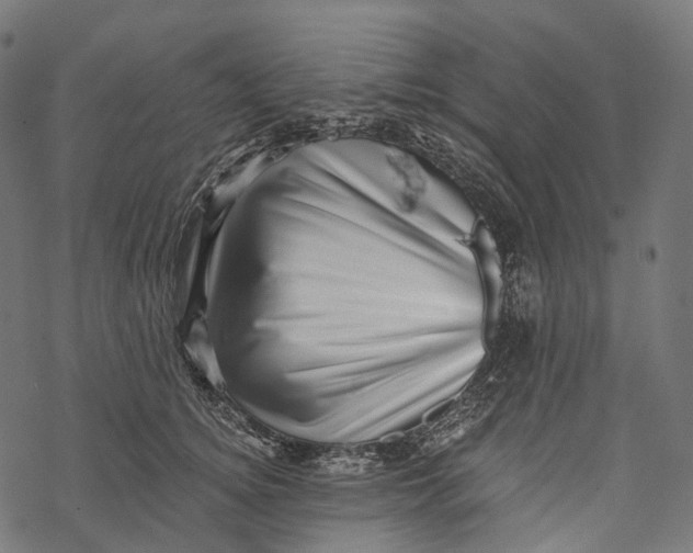 X0000067900756200605041617