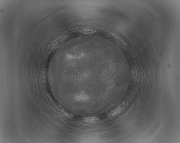 X0000067900757200605041617