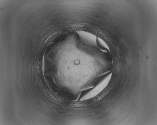 X0000067900758200605041617