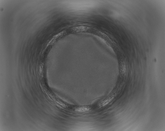 X0000067900759200605041617