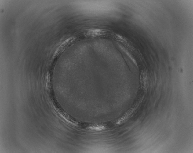 X0000067900760200605041617