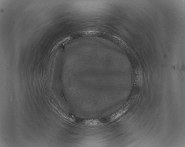 X0000067900762200605041618