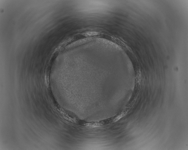 X0000067900763200605041618