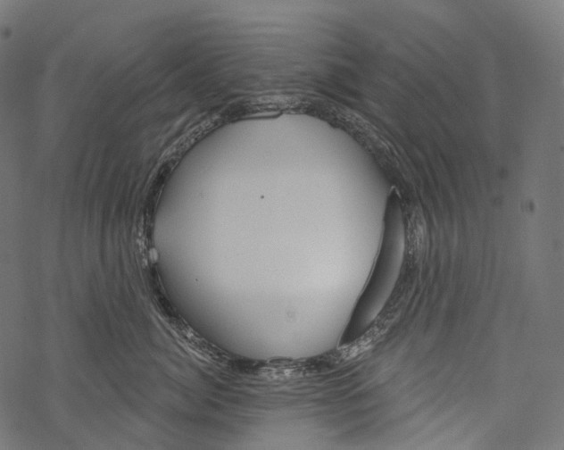 X0000067900764200605041618