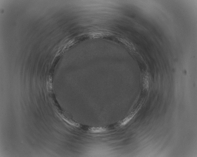 X0000067900766200605041618