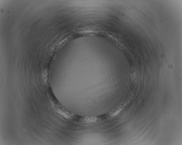 X0000067900767200605041618