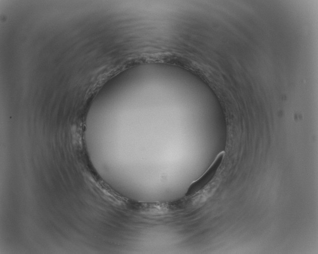 X0000067900768200605041618