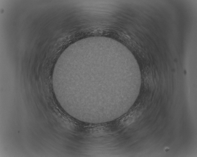 X0000067900769200605041617