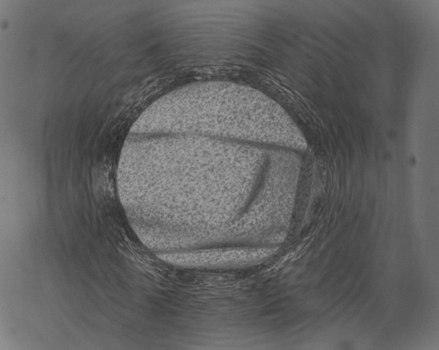 X0000067900770200605041617