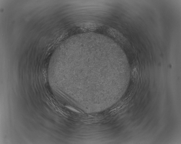 X0000067900772200605041617