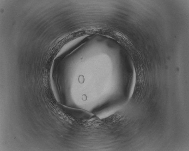 X0000067900773200605041617