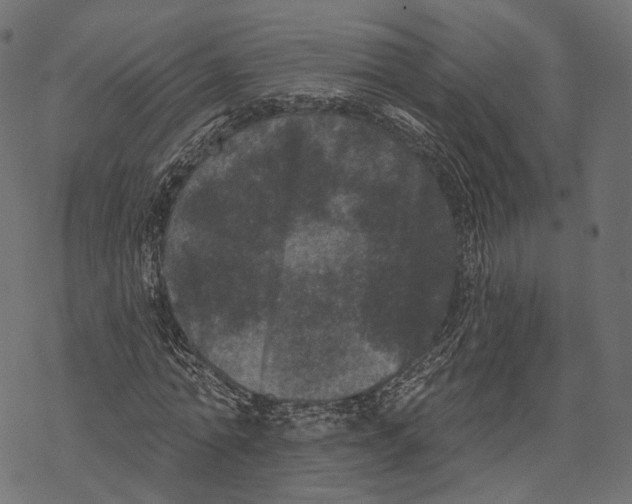 X0000067900774200605041617