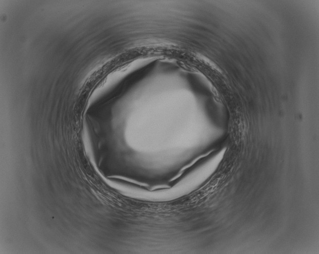 X0000067900775200605041617