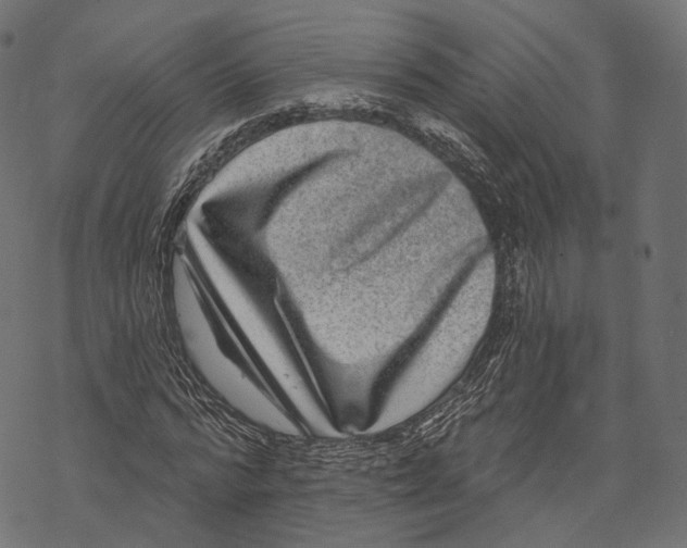 X0000067900776200605041617