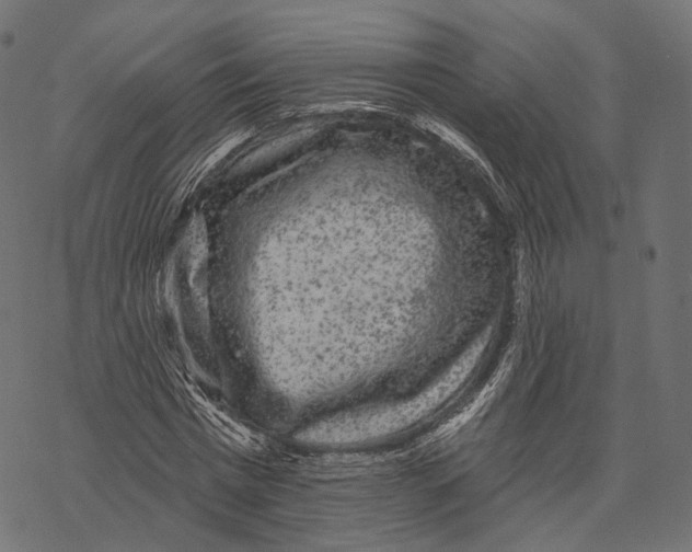 X0000067900777200605041617