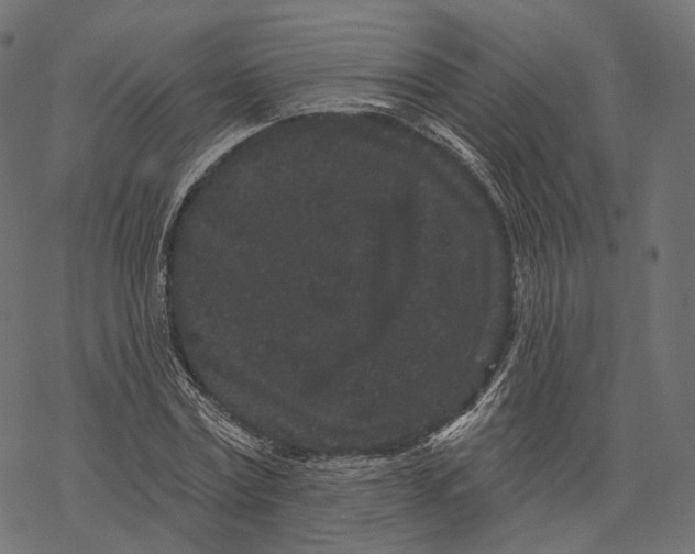 X0000067900779200605041617