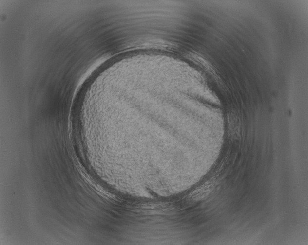 X0000067900780200605041617