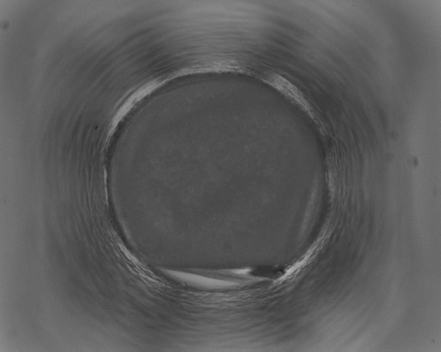 X0000067900781200605041617