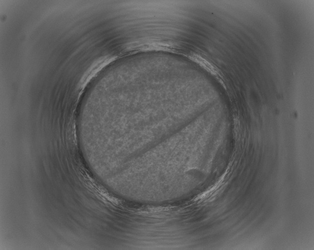 X0000067900782200605041617