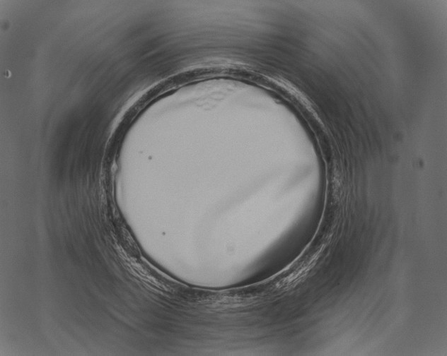 X0000067900783200605041617