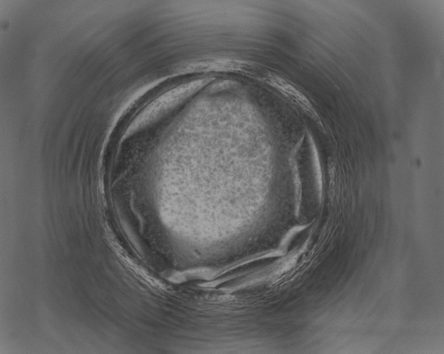 X0000067900784200605041617