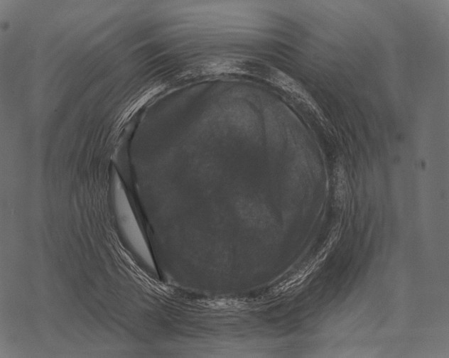 X0000067900785200605041617