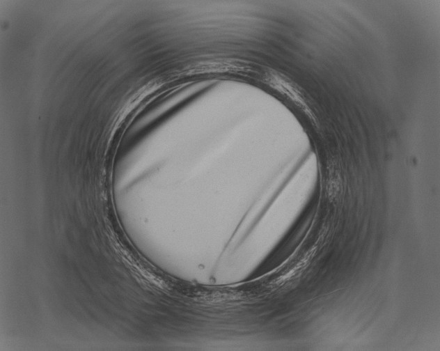 X0000067900786200605041617