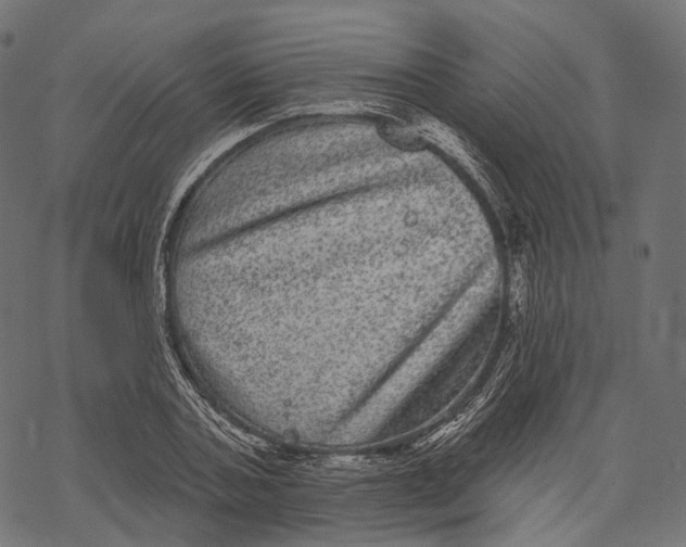 X0000067900787200605041617