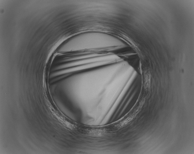 X0000067900788200605041617