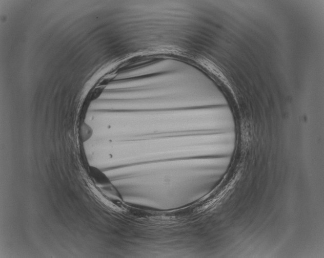 X0000067900789200605041617