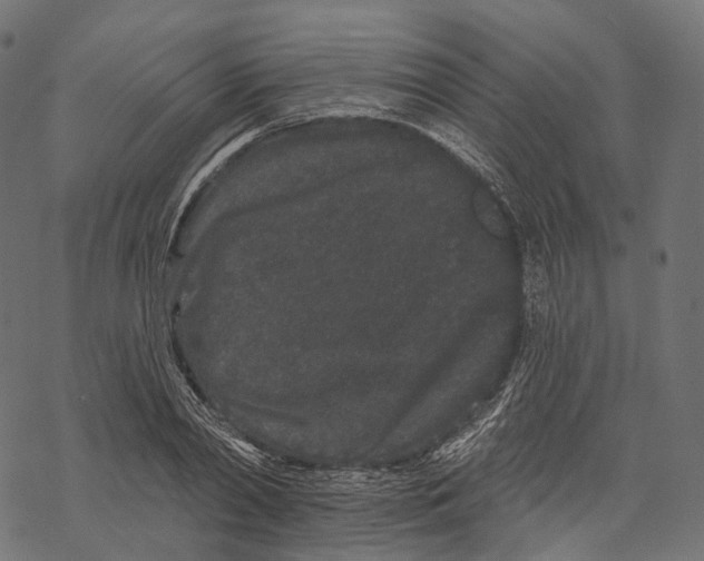 X0000067900790200605041616