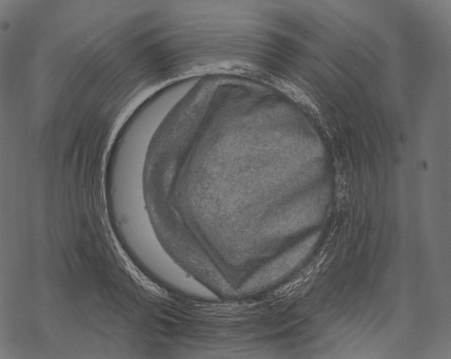 X0000067900792200605041616