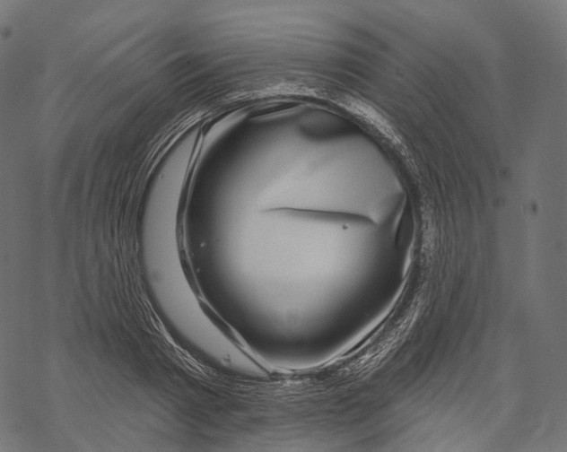 X0000067900793200605041616