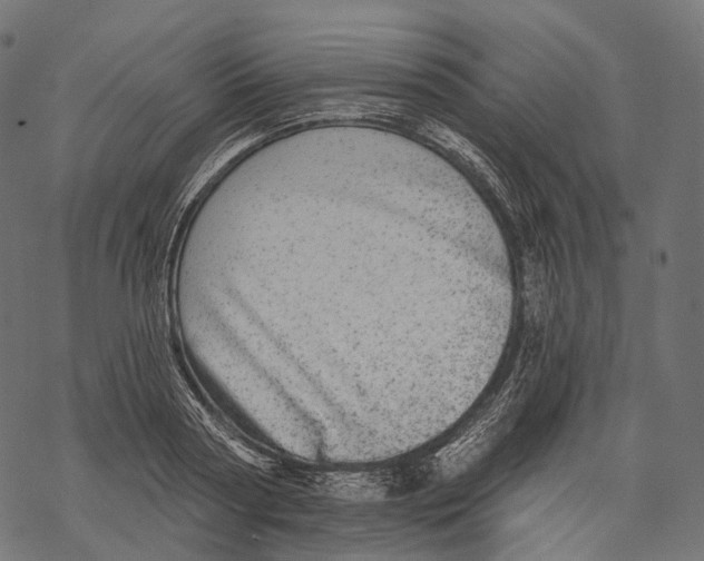 X0000067900794200605041616